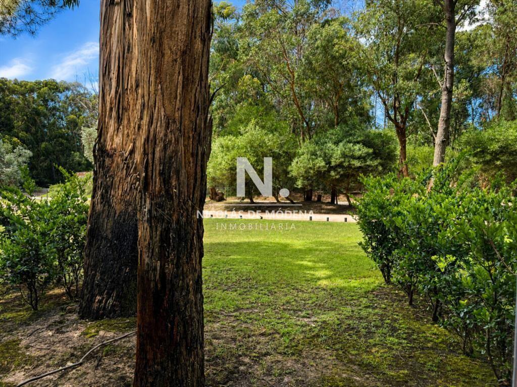 En venta en Solanas, Punta ballena monoambiente a