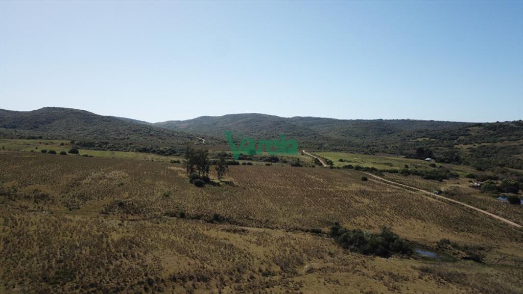 Campo de 86 has a la altura del km 58 Ruta 39