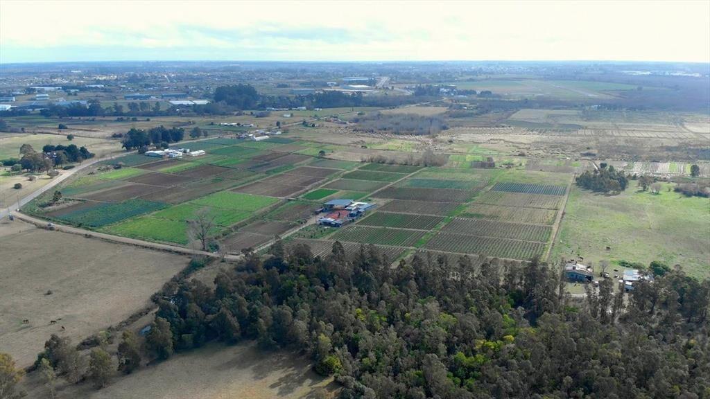 Venta campo de 7 Ha. en Camino Los Horneros