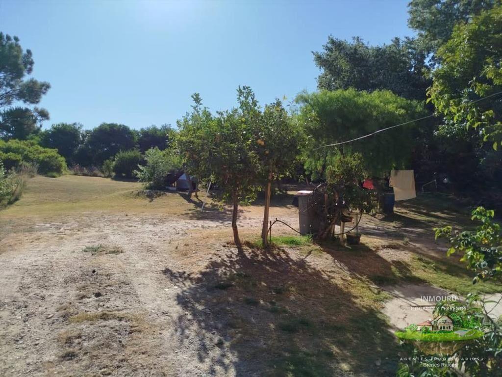 Venta de casa y local comercial