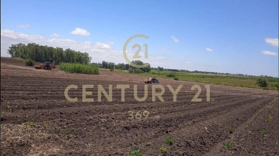 INVERSION CHACRA 6.8 HA -CON INVERNADEROS-PRODUCCION CULT...