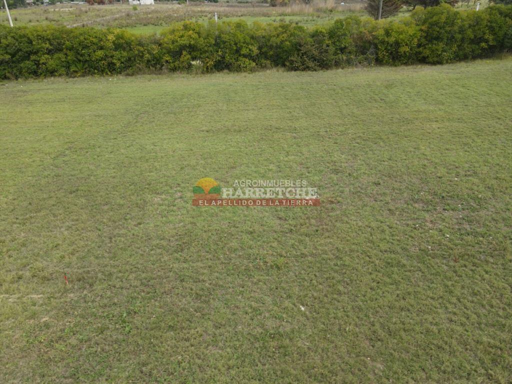 Terreno en Progreso, 360 m2 en Jardín de los (5)