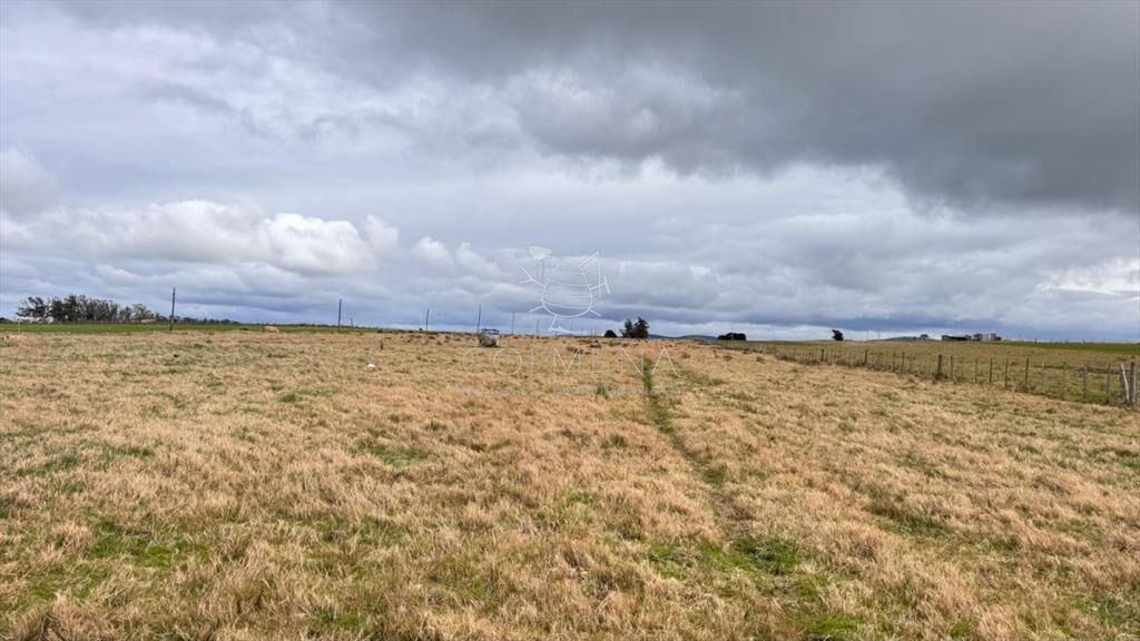 Campo de 3 has en Corte la leña