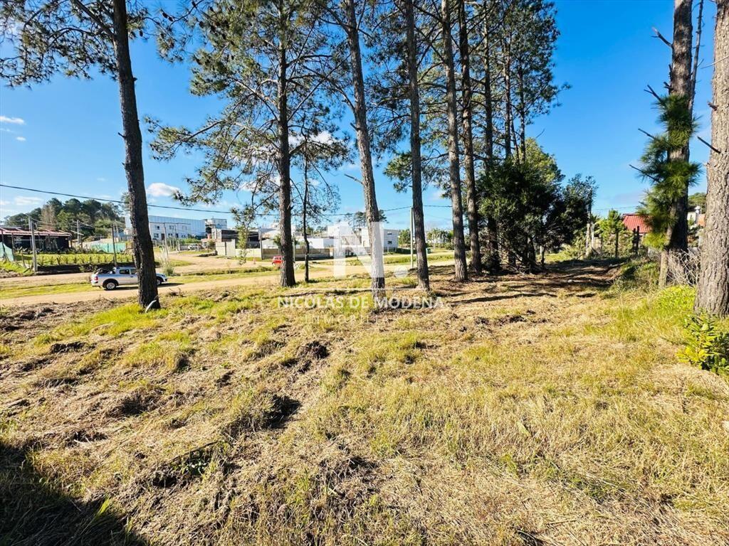 Terreno en venta, Altos de la Laguna, Maldonado
