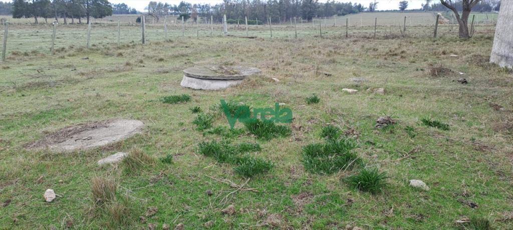Venta de Chacra, Ruta 11, km.152, de 3,5 has. a