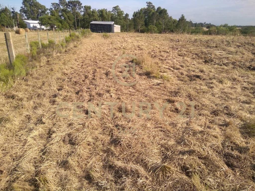 VENTA DE CHACRA 5 HECTÁREAS CON CASA!2 D-GARAGE-RINCON DE...