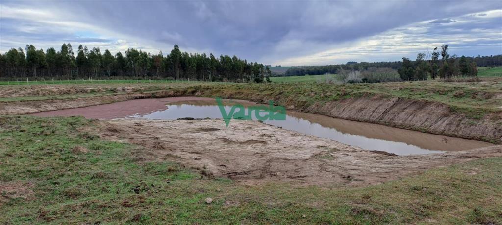 Venta de Chacra, Ruta 11, km.152, de 3,5 has. a