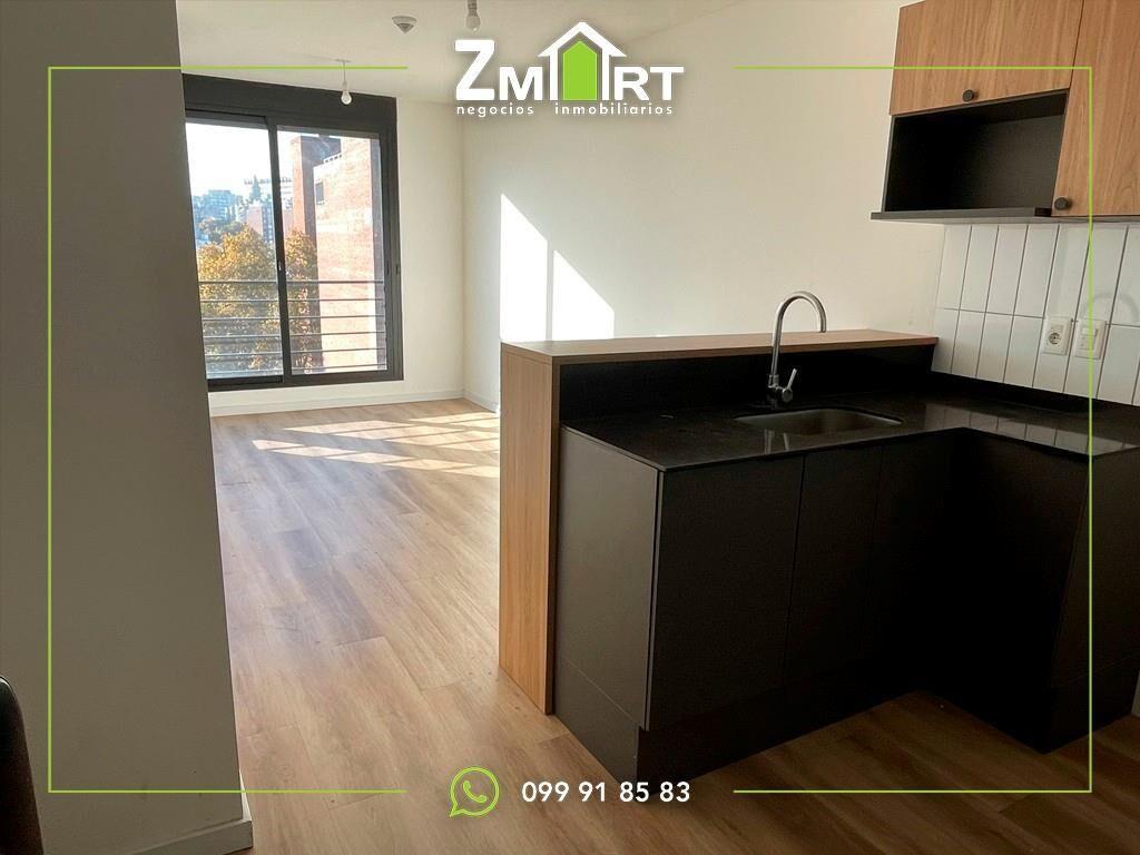 Luminoso Apto 1 Dormitorio En Cordón Sur