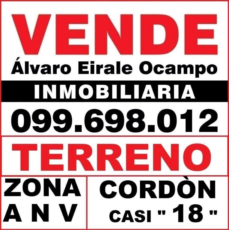 * ZONA A N V CORDON 12. X 43.= 700 m2 Alt. 27 mts.
