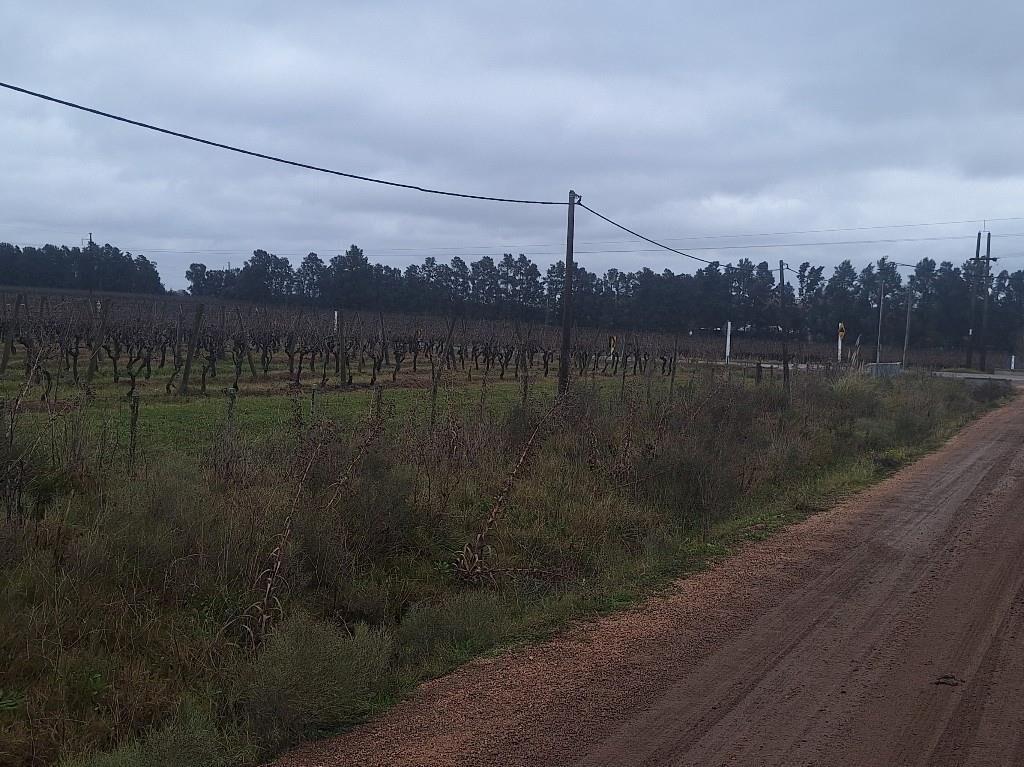 Predio ideal para logística, buen acceso , galpón, trifasica