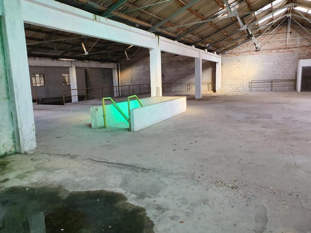 Rambla de Cerro de Montevideo, 2000 m2 llanos en una planta