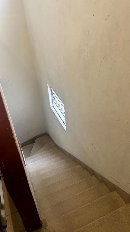 Apartamento en Parque Rodó de 1 dormitorio c/renta