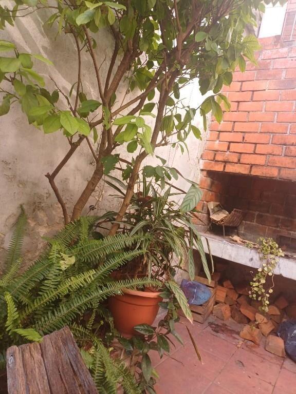En Venta tipo casa 5 d calle Mario Cassinoni, Parque Rodo,