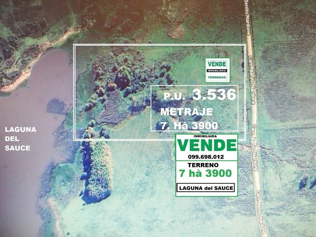 * LAGUNA del SAUCE: TERRENO 73.900 M2 con COSTA