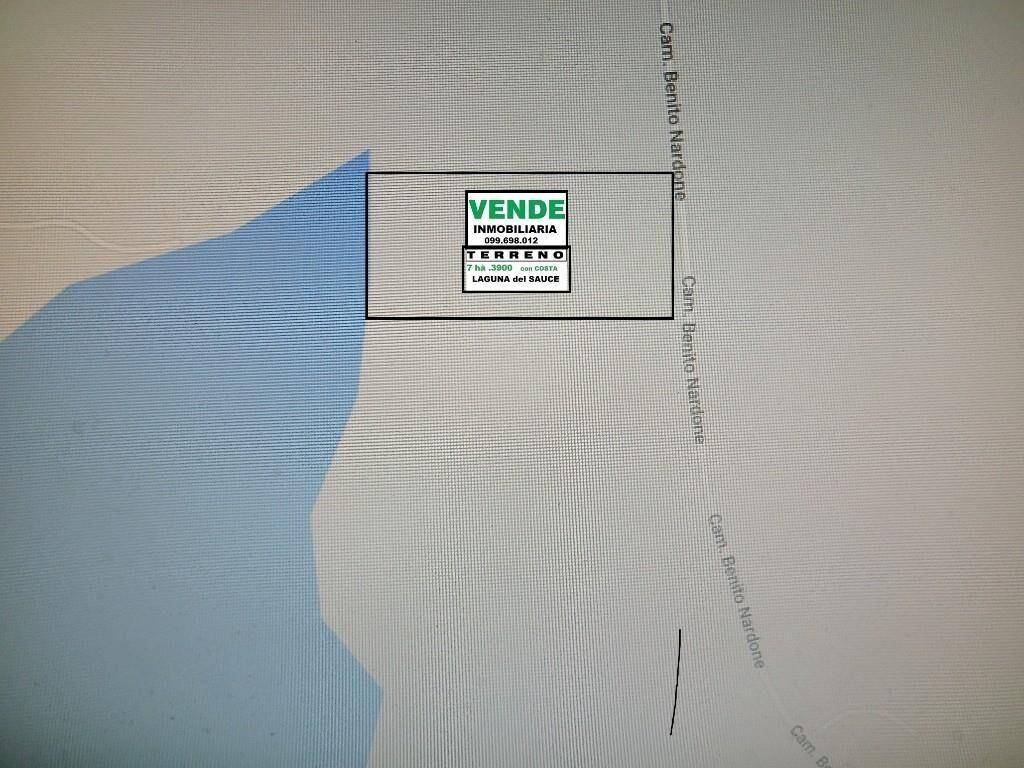 * LAGUNA DEL SAUCE TERRENO 73.900 m2 COSTA A LA LAGUNA