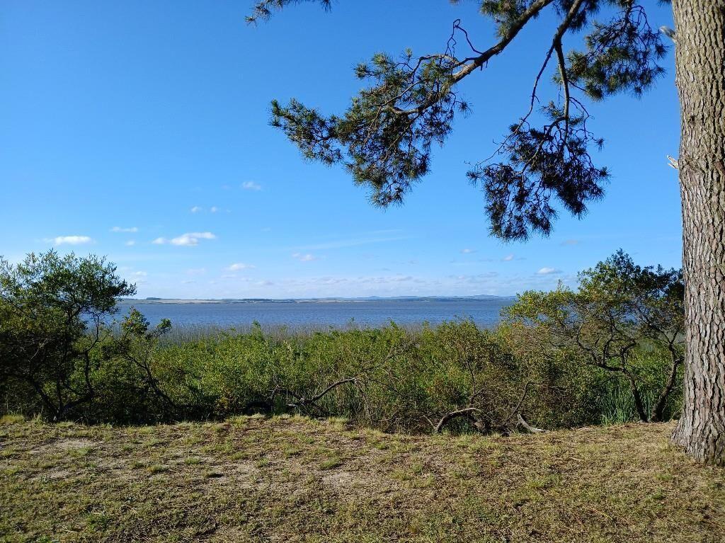 * LAGUNA DEL SAUCE TERRENO 73.900 m2 COSTA A LA LAGUNA