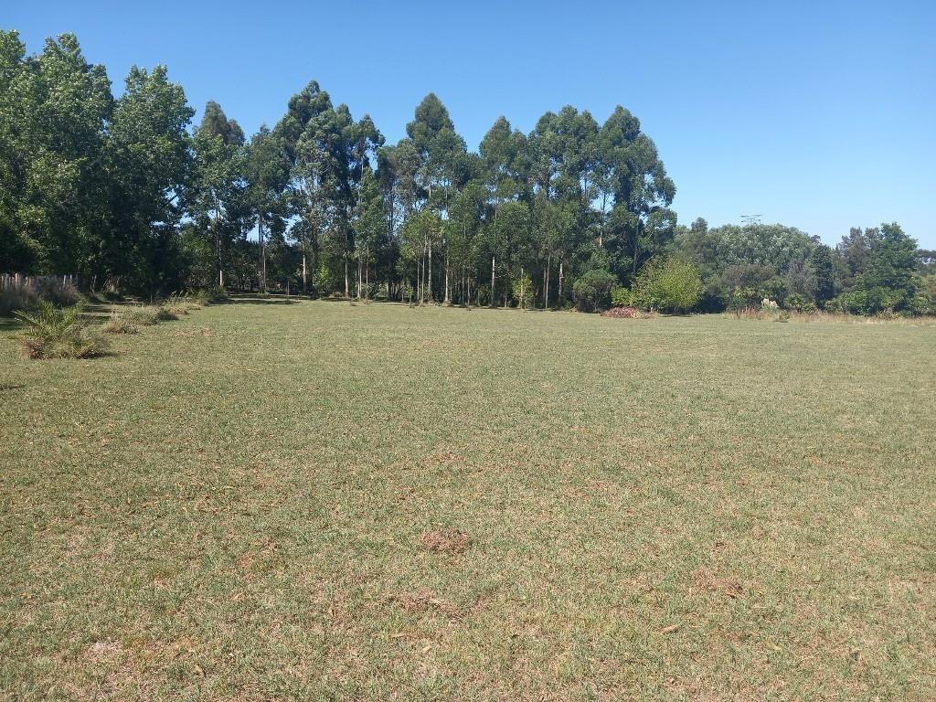 Terreno 7000 Metros Industrial logístico. Perimetral 102