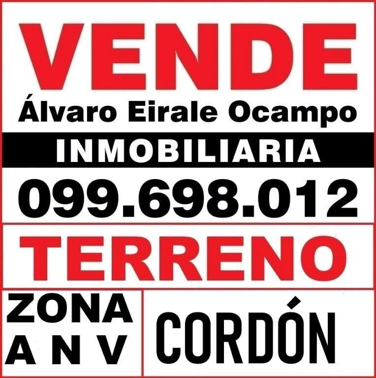 * ZONA A N V  TERRENO 15.x 50.= 725 M2 Alt. 27 mts.