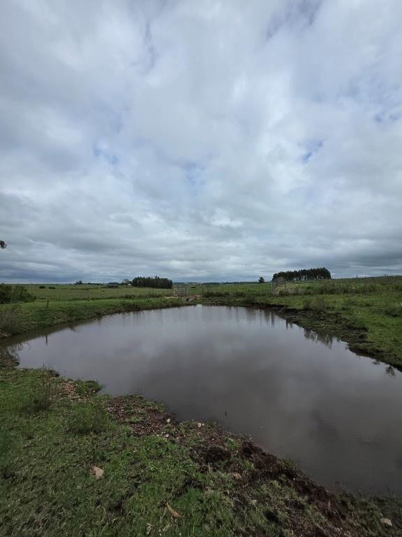 CAMPO EN SOLIS DE MATAOJO CON COSTA