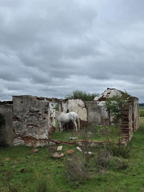 CAMPO EN SOLIS DE MATAOJO CON COSTA