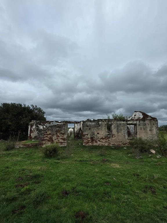 CAMPO EN SOLIS DE MATAOJO CON COSTA