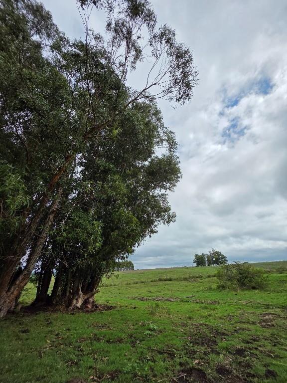CAMPO EN SOLIS DE MATAOJO CON COSTA