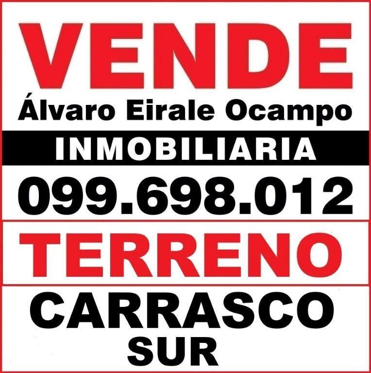 * CARRASCO SUR: J. B. ALBERDI Terreno 30.X 70.= 1.600 m2