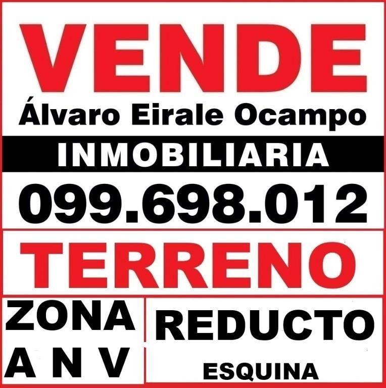 * ZONA  A N V  REDUCTO: ESQUINA  350 m2 Alt. 16.50 mts.