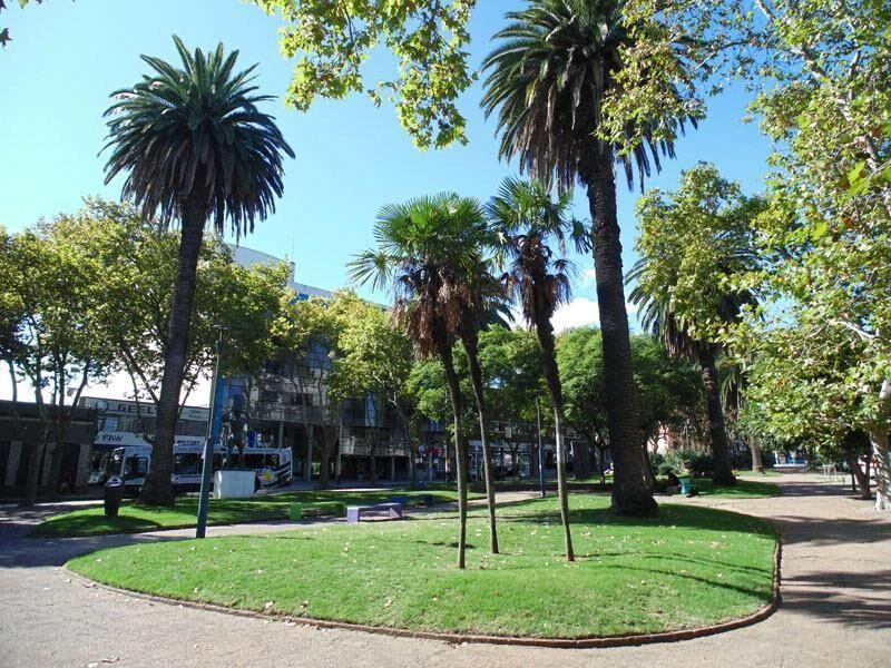 EXCELENTE PUNTO PASOS MDEO SHOPPING Y ZOO AMPLIO Y SOLEADO!!