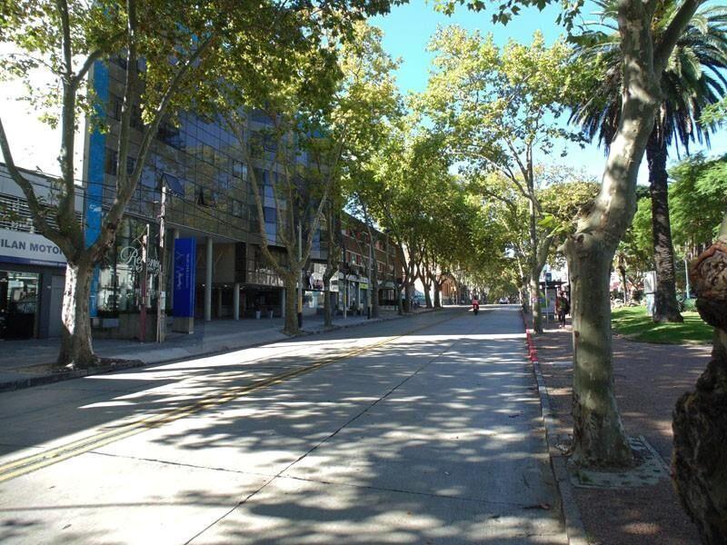 EXCELENTE PUNTO PASOS MDEO SHOPPING Y ZOO AMPLIO Y SOLEADO!!