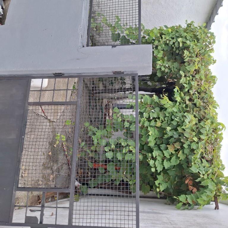 Local comercial con cámara de frío + galpón en esquina | Car