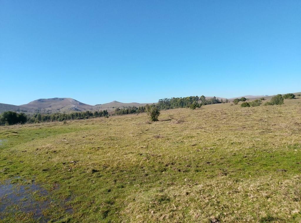 Campo 23 há, (tambo, ganadero, agrícola)