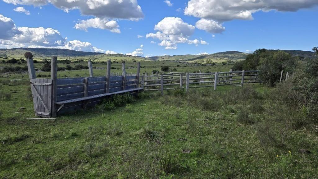 Espectacular Campo de 73 Hác. Con Arroyo Frente a los Cerros
