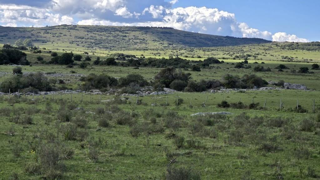 Espectacular Campo de 73 Hác. Con Arroyo Frente a los Cerros