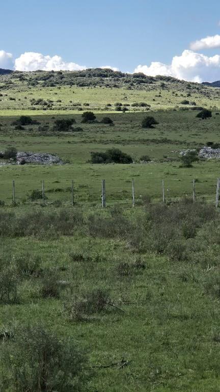 Espectacular Campo de 73 Hác. Con Arroyo Frente a los Cerros
