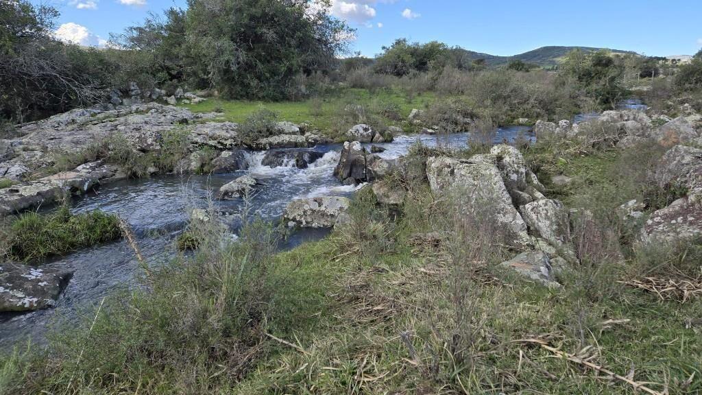 Espectacular Campo de 73 Hác. Con Arroyo Frente a los Cerros