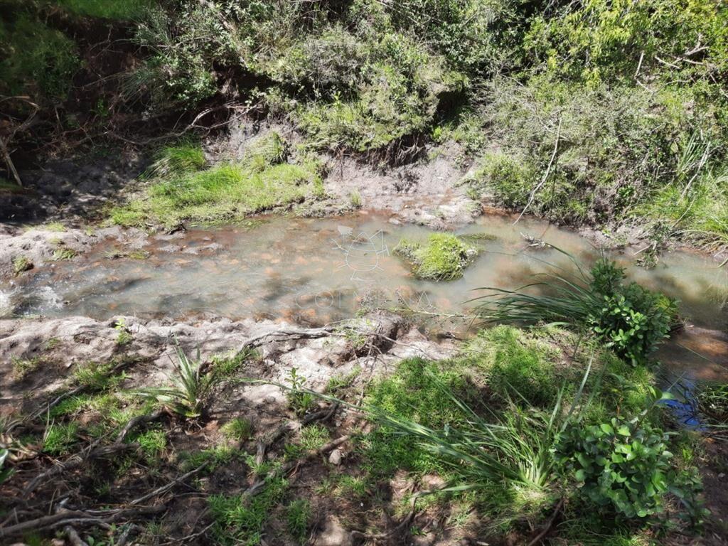 LINDA CHACRA DE 5 HAS EN LAS CAÑAS