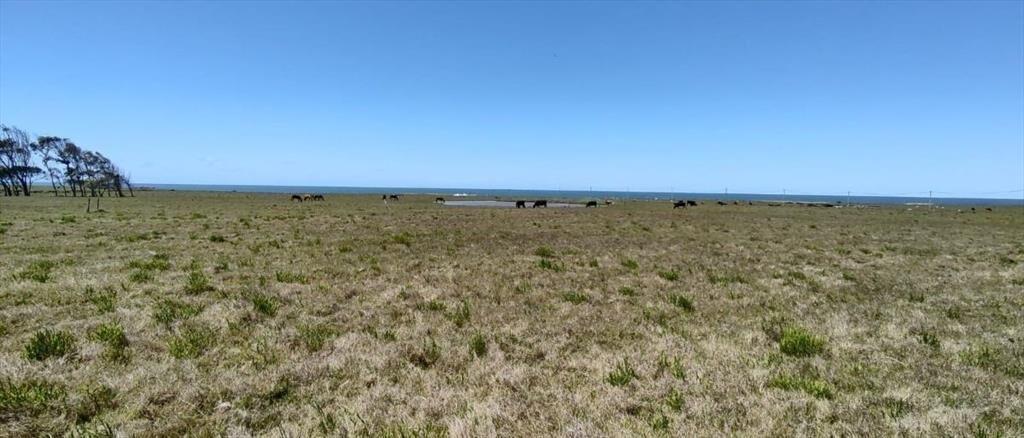 Venta Terreno Oceanico Rocha Pueblo Nuevo Proximo La Pedrer