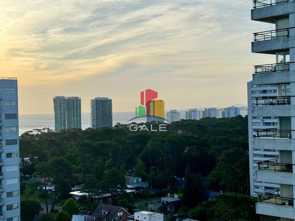 Amplio monoambiente, con garaje y cochera en del