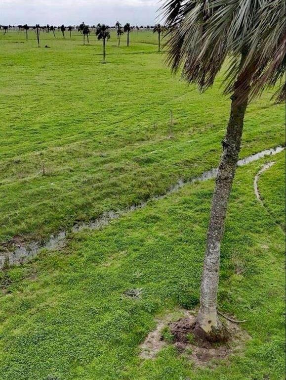 125 HECTÁREAS EN RINCÓN BRAVO, ROCHA