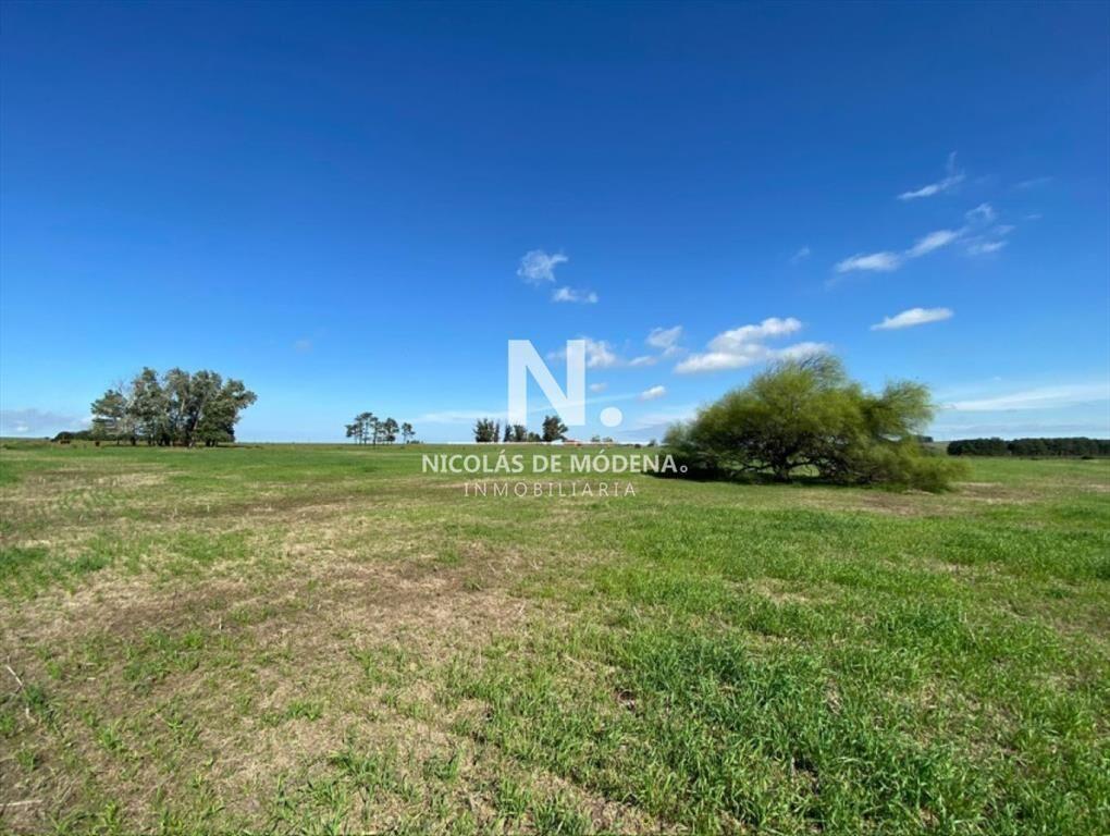 Venta Campo en Maldonado