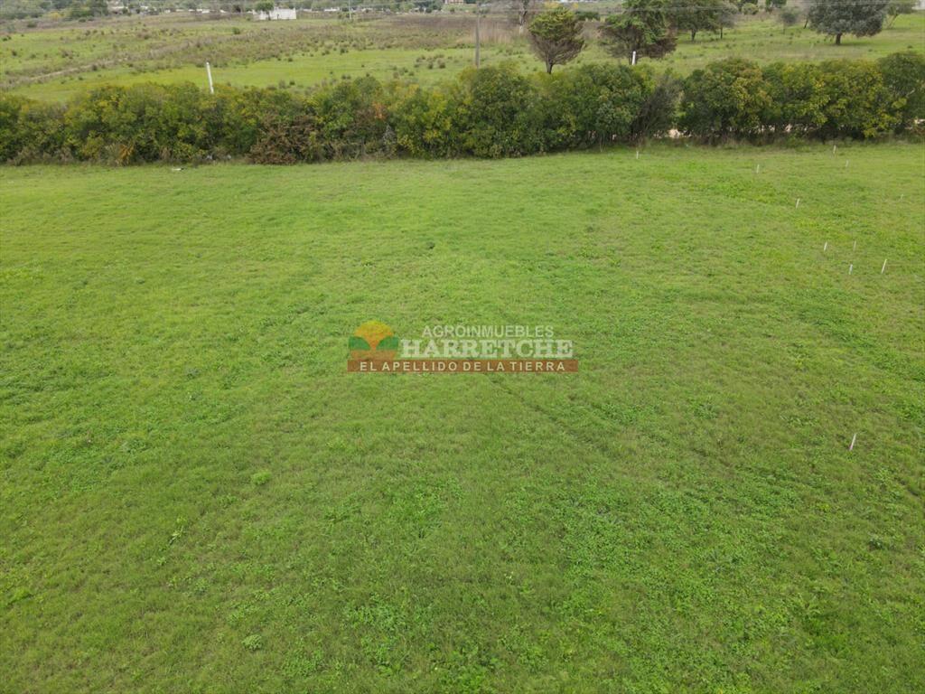Terreno en Progreso, 360 m2 en Jardín de los (4)