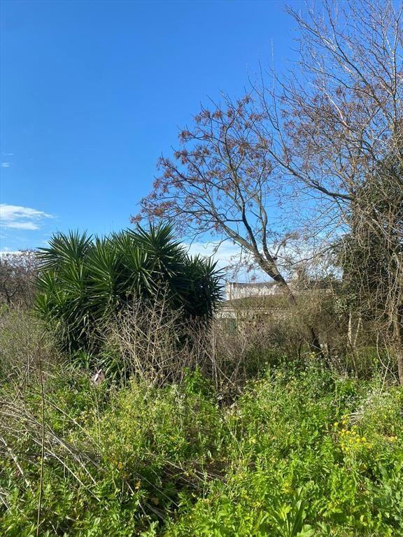 Venta Terreno fértil de 3 hectáreas con casa a reciclar en
