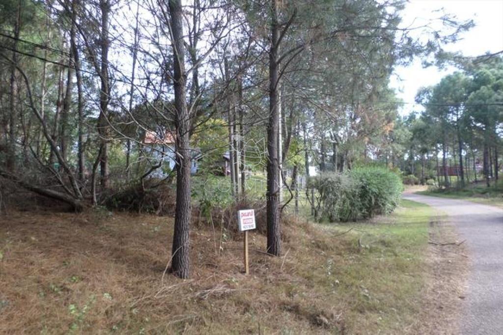Terreno en Oeste