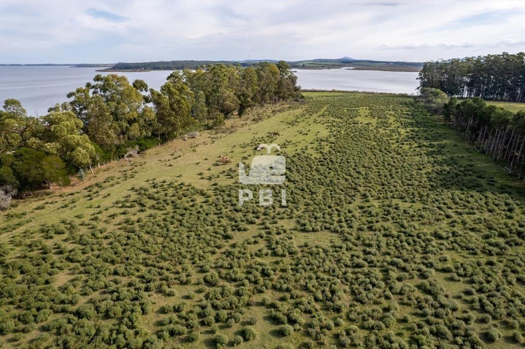 Chacra en venta Laguna Del Sauce - Ref : PBI1319