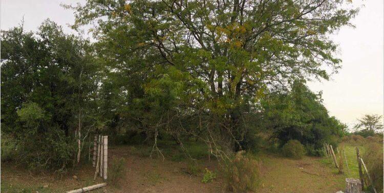 Chacra con casa y galpón en Santa Rosa de 4 hectáreas con...