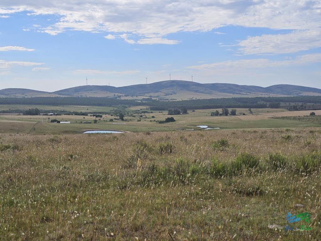 En venta chacra 3 hectareas, proxima ruta 39, a