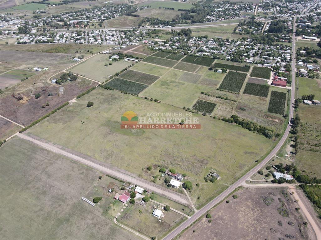 Terrenos en venta en Progreso, fraccionamiento de