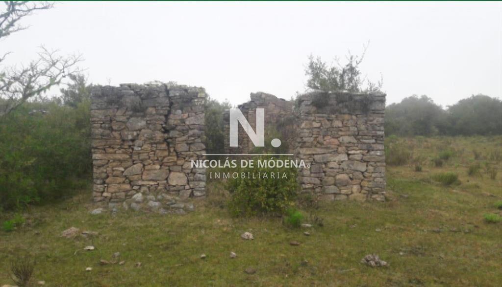 Campo Ganadero en Venta en Aigua