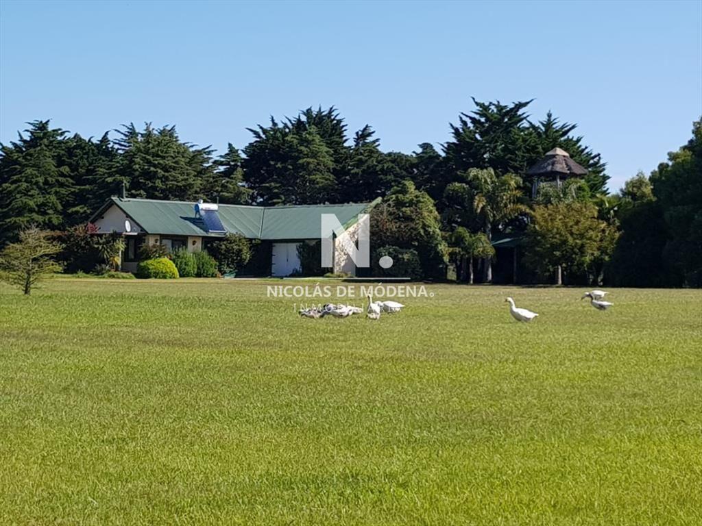 En venta chacra de 6hectareas en Jose Ignacio.